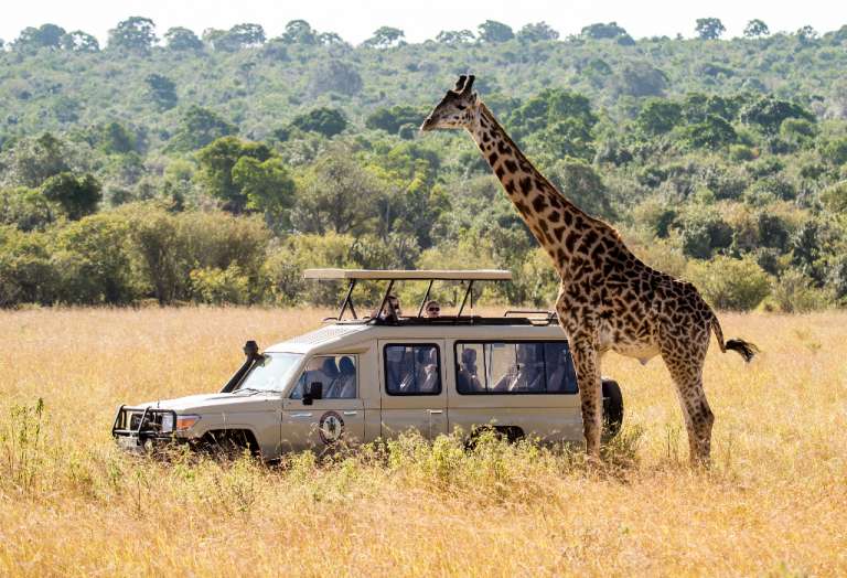 Arusha: 2 Günlük Lüks Serengeti Safari
